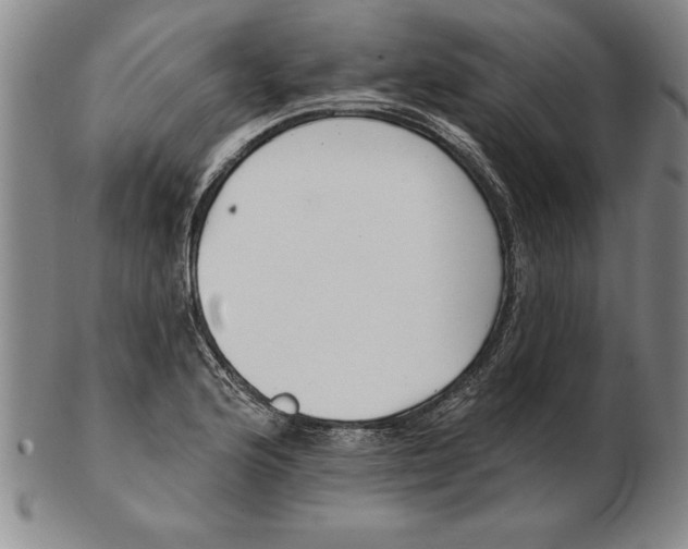 X0000102351176200808221647