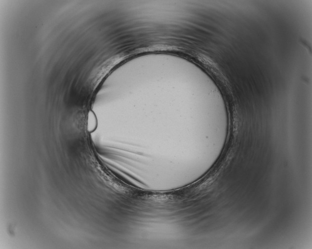 X0000102351177200808221647