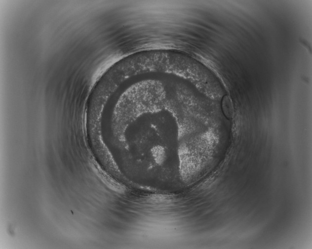 X0000102351179200808221647