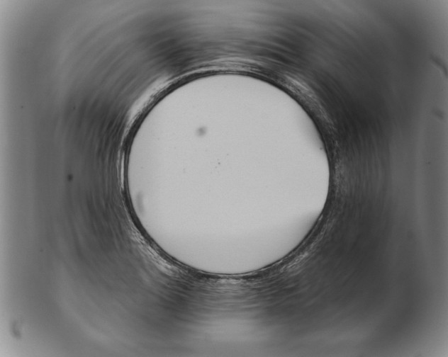 X0000102351180200808221647