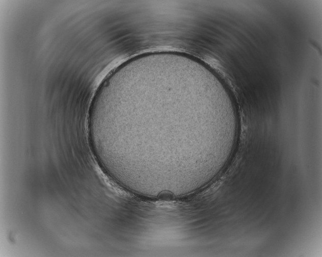 X0000102351181200808221647