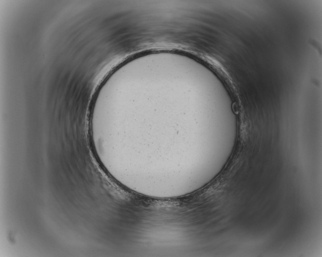 X0000102351183200808221647