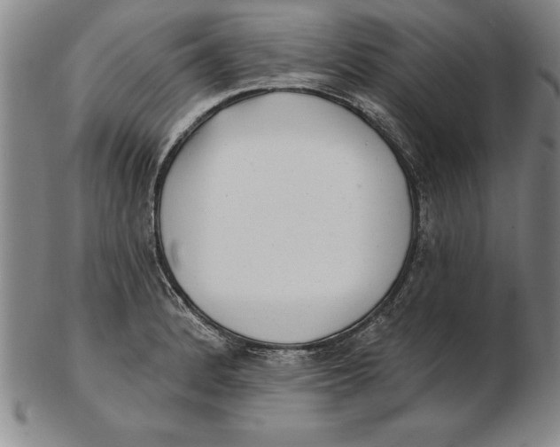 X0000102351184200808221647