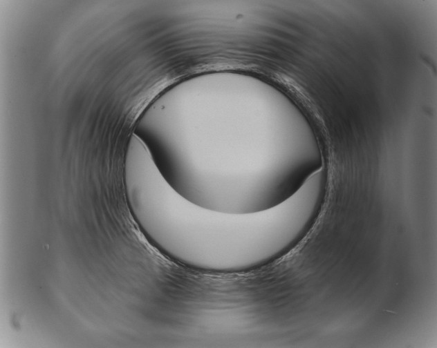 X0000102351185200808221647