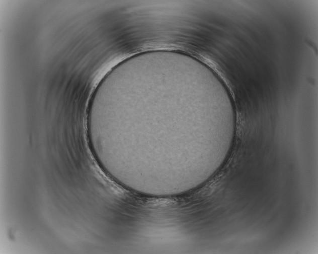 X0000102351187200808221647