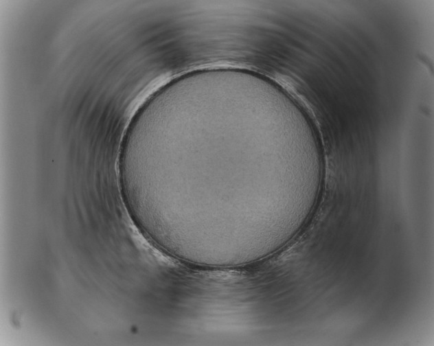 X0000102351189200808221647