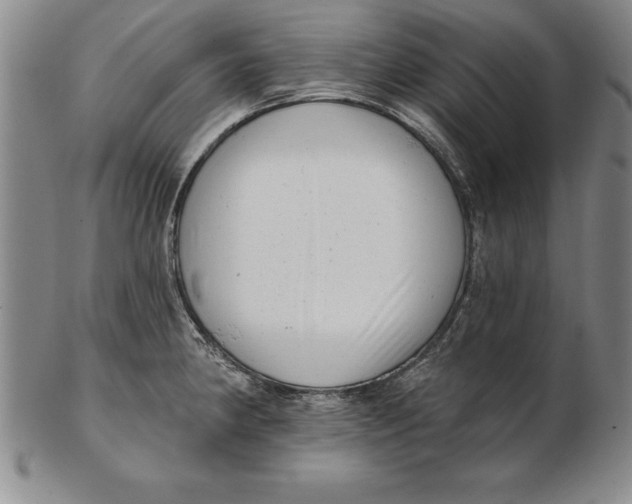 X0000102351190200808221647