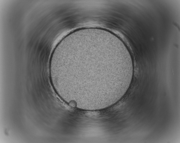 X0000102351191200808221647