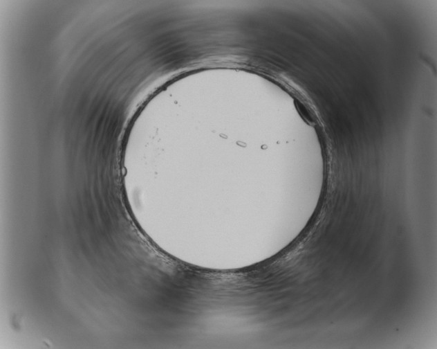 X0000102351192200808221647