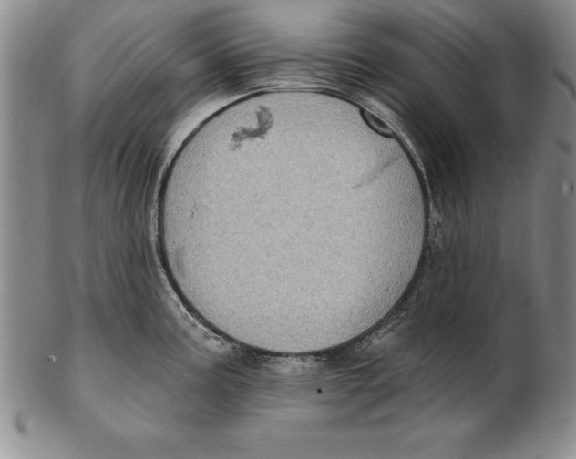 X0000102351195200808221647