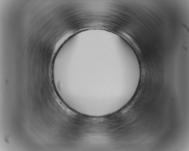 X0000102351196200808221647