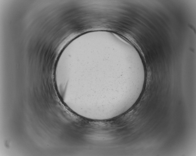 X0000102351197200808221647