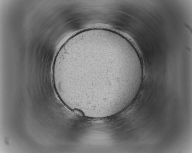 X0000102351199200808221647