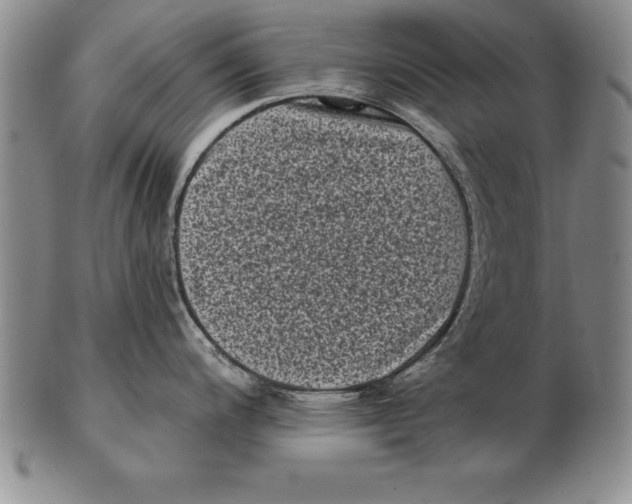 X0000102351200200808221647