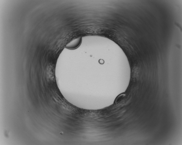 X0000102351202200808221646