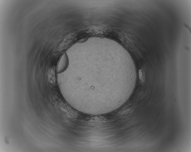 X0000102351203200808221646