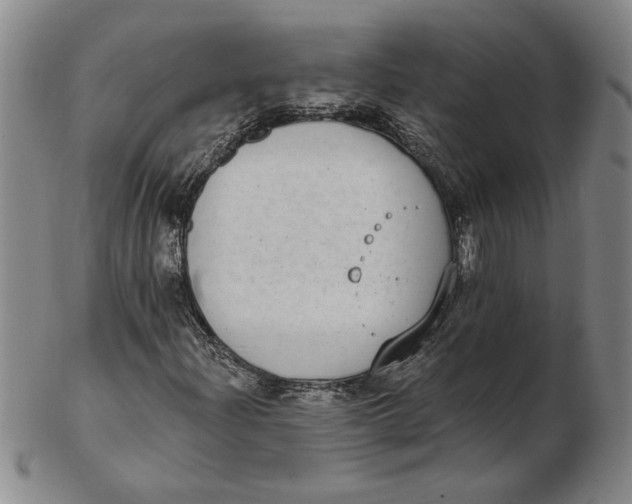 X0000102351204200808221646