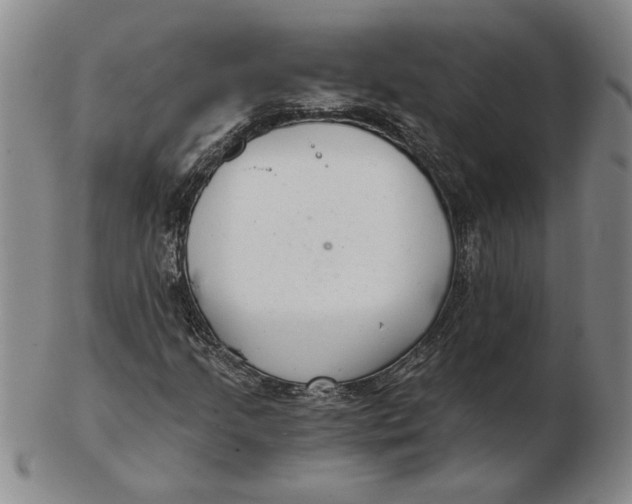 X0000102351205200808221646