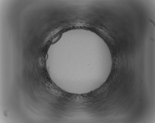 X0000102351207200808221646