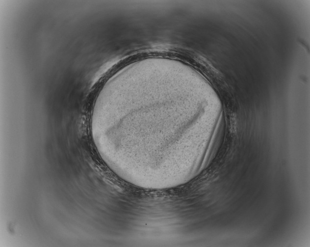 X0000102351208200808221646