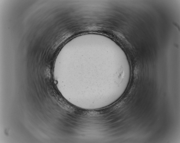 X0000102351209200808221646