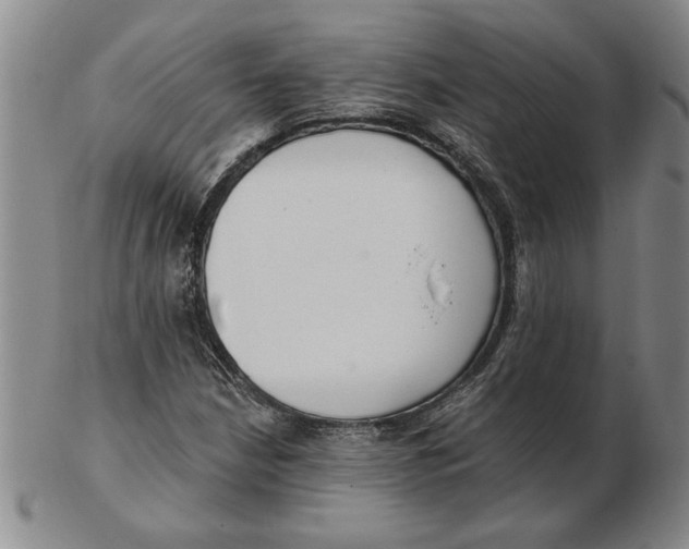 X0000102351210200808221646