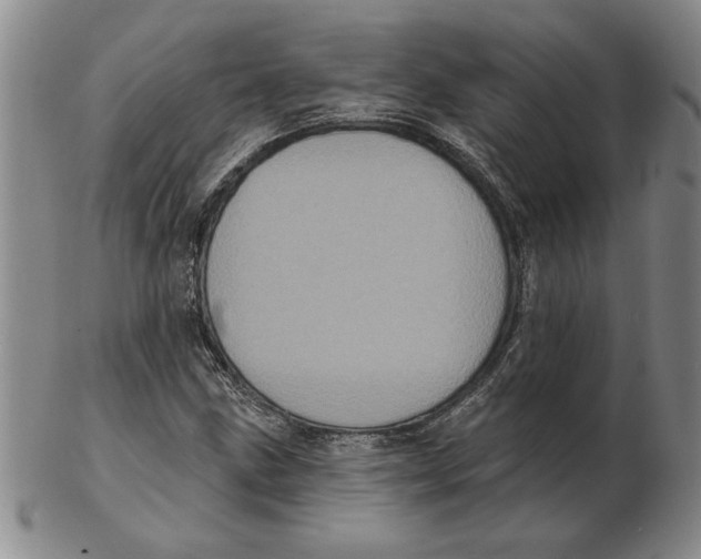 X0000102351211200808221646