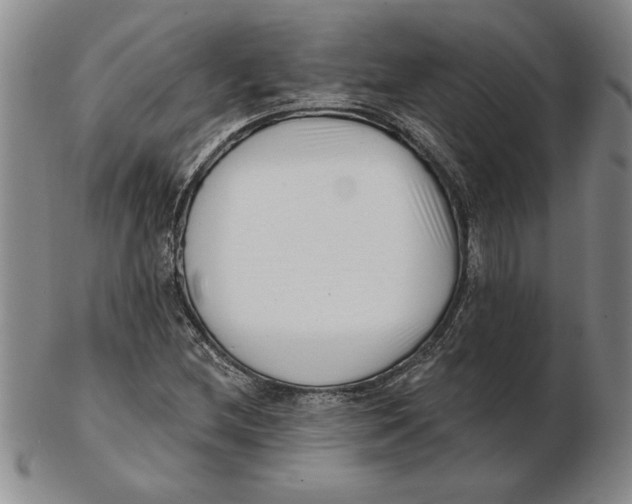 X0000102351212200808221646