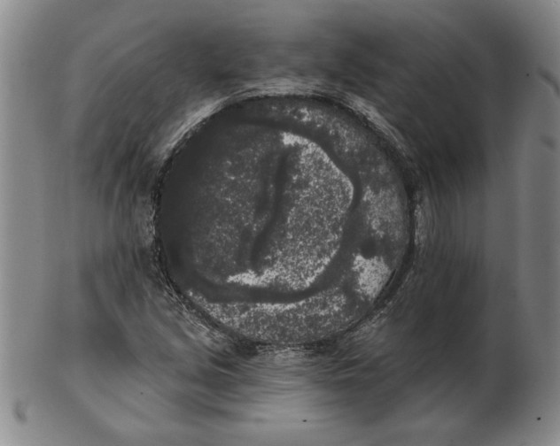 X0000102351213200808221646