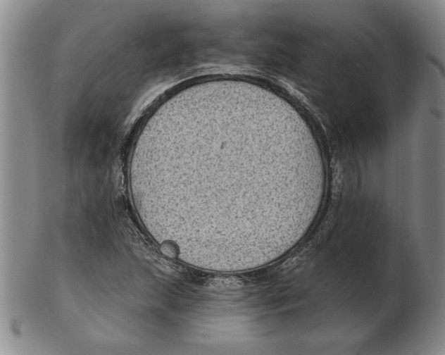 X0000102351215200808221646