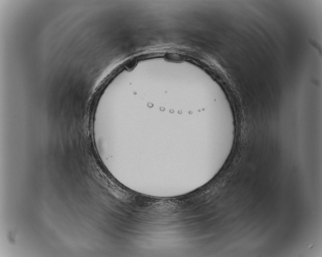 X0000102351216200808221646