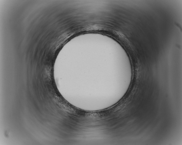 X0000102351217200808221646