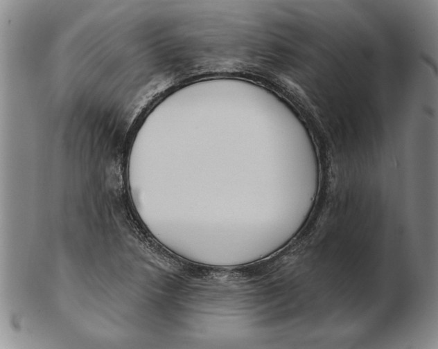 X0000102351218200808221646