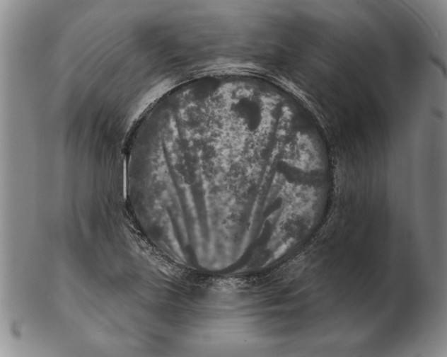 X0000102351219200808221646