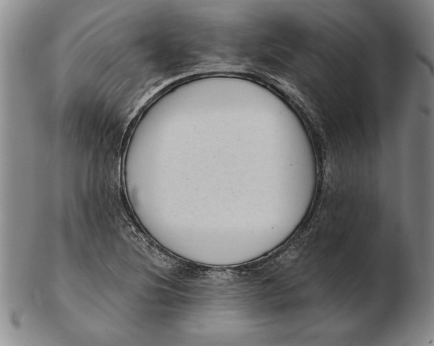 X0000102351220200808221646