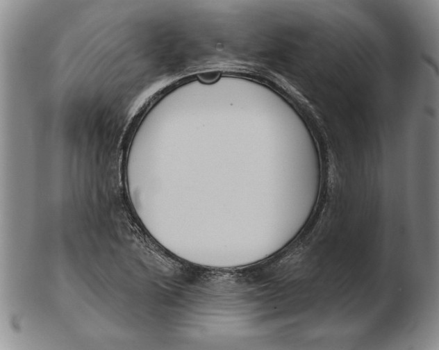 X0000102351222200808221646