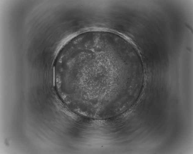 X0000102351223200808221646