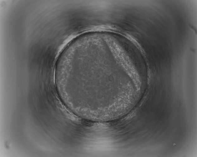 X0000102351224200808221646