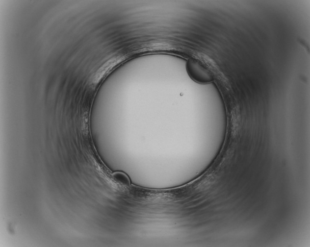 X0000102351225200808221646