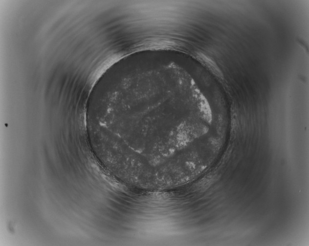 X0000102351226200808221646