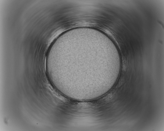 X0000102351227200808221646