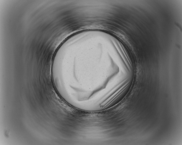 X0000102351228200808221646