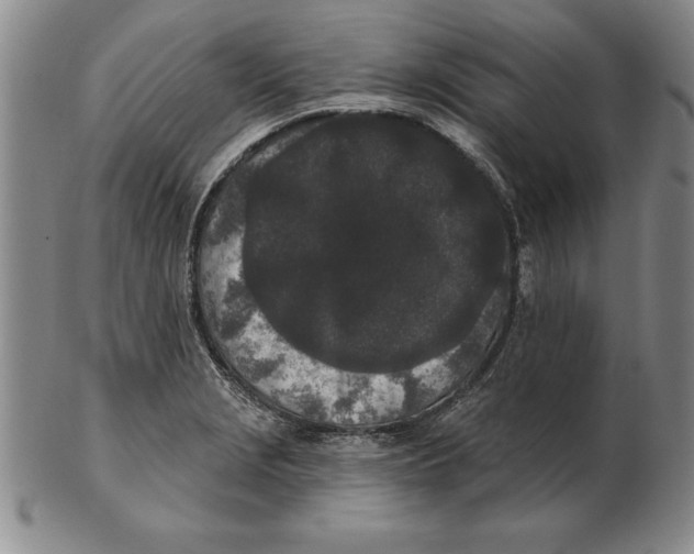 X0000102351229200808221646