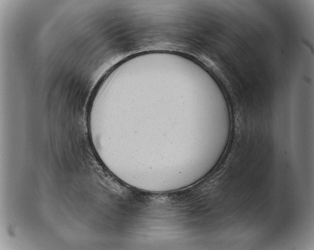 X0000102351230200808221646