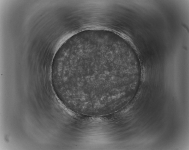 X0000102351231200808221646