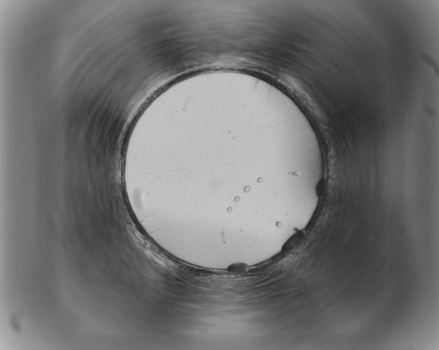 X0000102351232200808221646