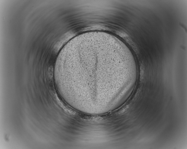 X0000102351233200808221646