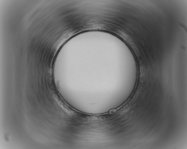 X0000102351234200808221646