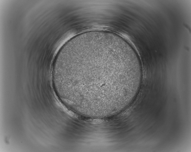 X0000102351235200808221646