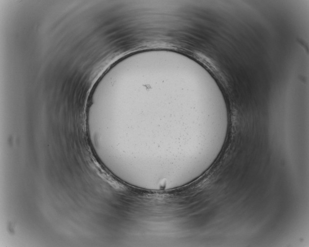 X0000102351236200808221646